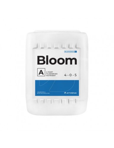 Athena Bloom A&B 3.78L